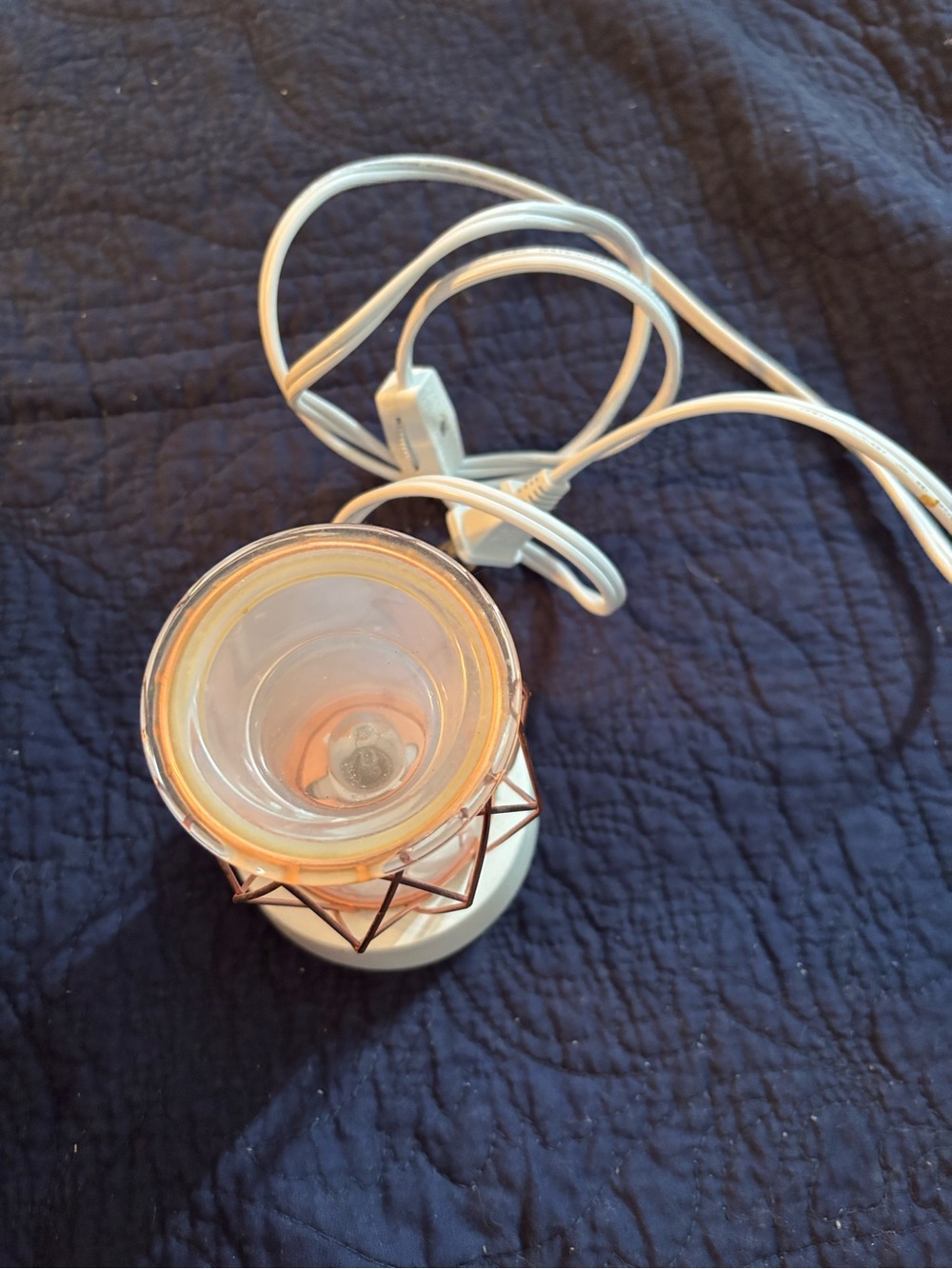 Scentsy Wire You Blushing warmer